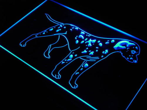 Dalmatian Dog Pet Shop
